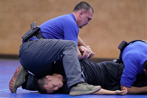 Troy police take part in jiu-jitsu defense training
